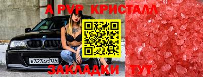 дживик Ставрополь